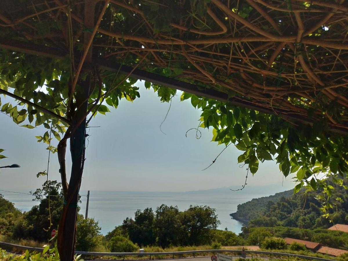 Bed & Breakfast Laino Maratea Extérieur photo