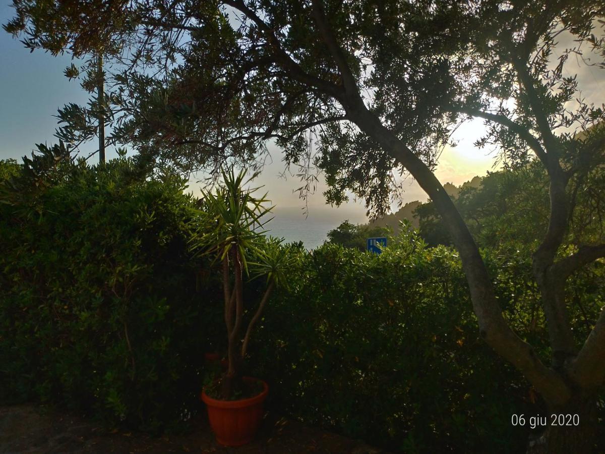 Bed & Breakfast Laino Maratea Extérieur photo